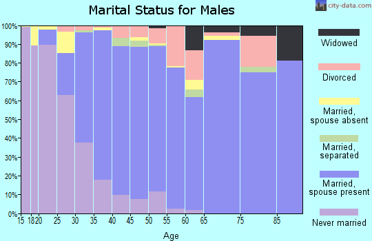 Zip code 22408 marital status for males