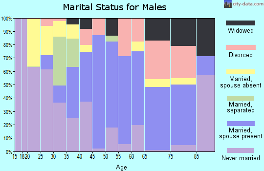 Zip code 22427 marital status for males