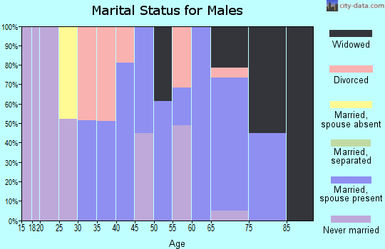 Zip code 22460 marital status for males