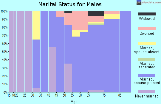 Zip code 22473 marital status for males