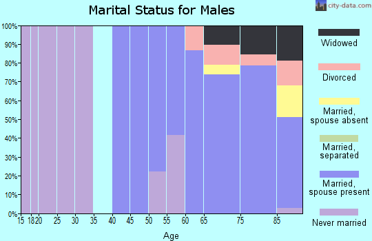 Zip code 22480 marital status for males