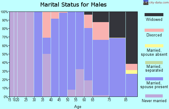 Zip code 22482 marital status for males