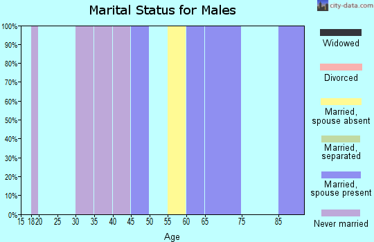 Zip code 22504 marital status for males