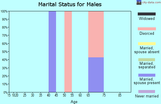 Zip code 22529 marital status for males