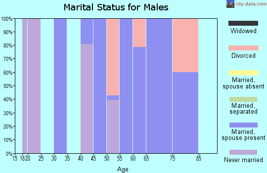 Zip code 22535 marital status for males