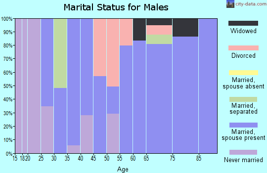 Zip code 22567 marital status for males