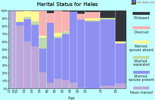 Zip code 22603 marital status for males