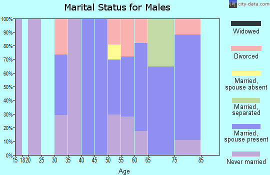 Zip code 22637 marital status for males