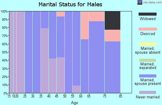 Zip code 22642 marital status for males