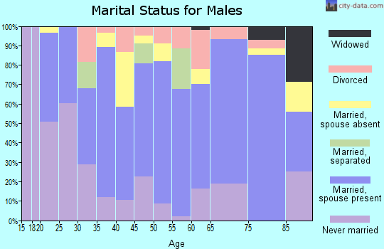 Zip code 22664 marital status for males