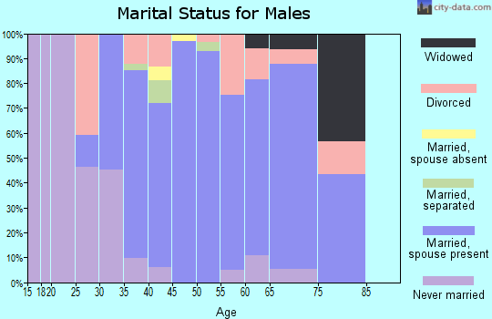 Zip code 22712 marital status for males