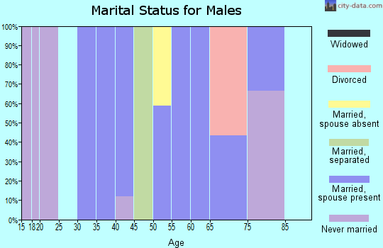 Zip code 22714 marital status for males