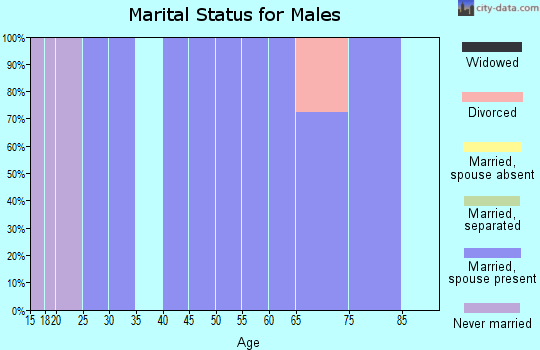 Zip code 22726 marital status for males