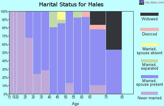 Zip code 22728 marital status for males