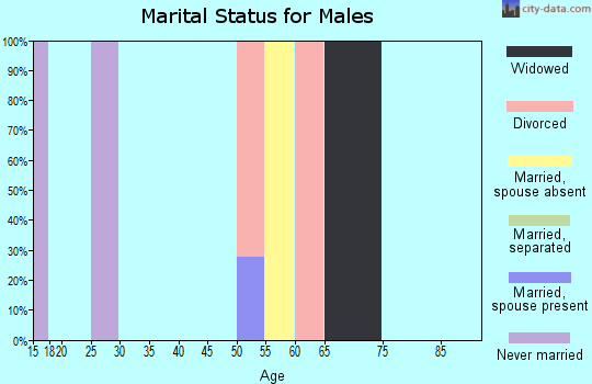 Zip code 22732 marital status for males
