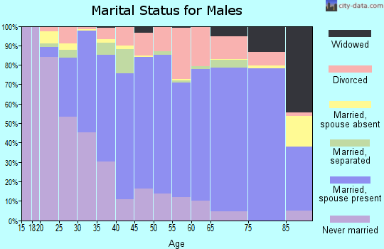 Zip code 22802 marital status for males