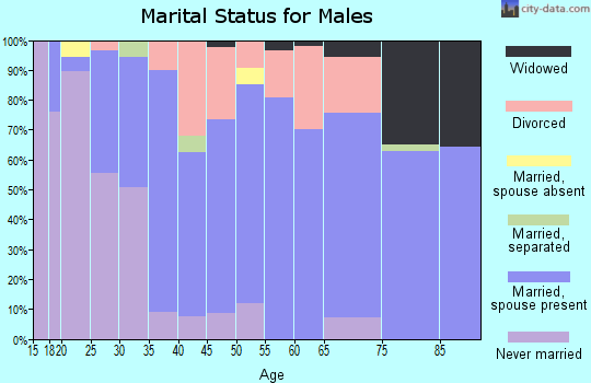Zip code 22815 marital status for males