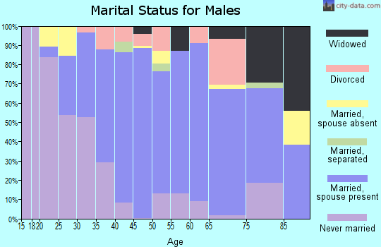 Zip code 22821 marital status for males