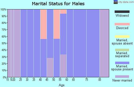 Zip code 22832 marital status for males