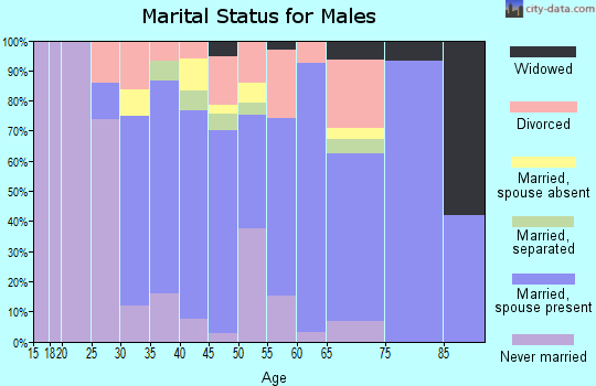 Zip code 22842 marital status for males