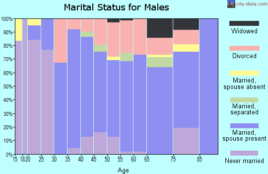 Zip code 22849 marital status for males