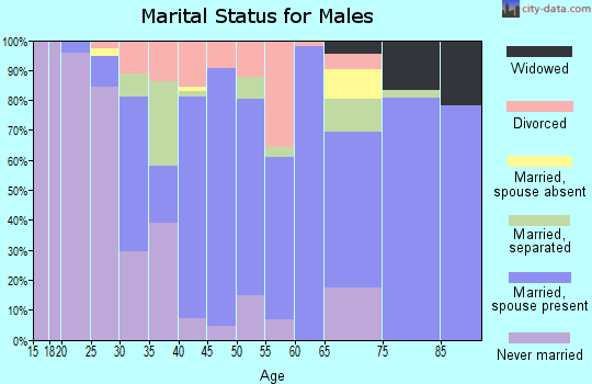 Zip code 22851 marital status for males