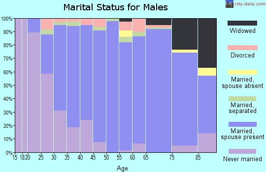 Zip code 22911 marital status for males