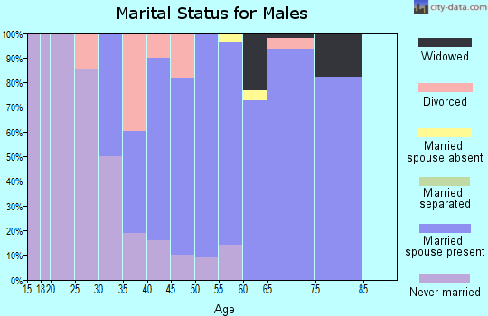 Zip code 22936 marital status for males