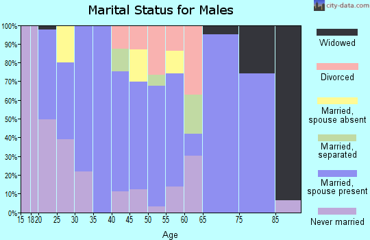 Zip code 22939 marital status for males