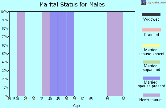 Zip code 22946 marital status for males