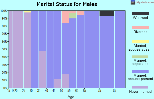 Zip code 22947 marital status for males