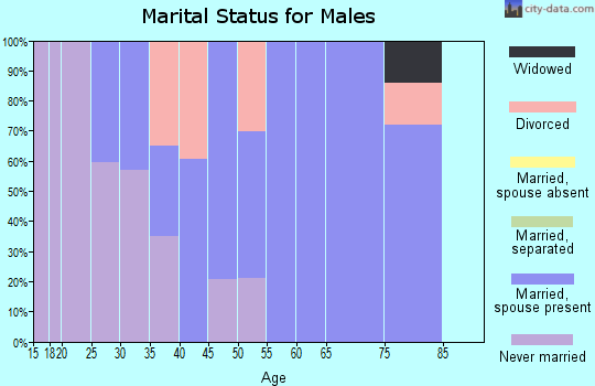 Zip code 22952 marital status for males