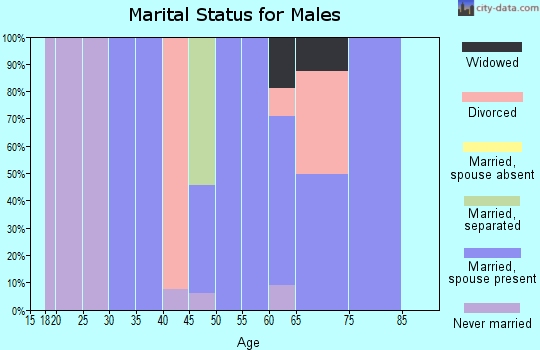 Zip code 22958 marital status for males