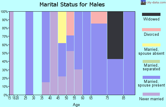 Zip code 22959 marital status for males