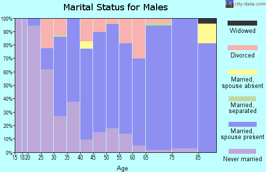 Zip code 22973 marital status for males