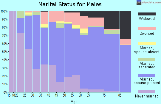 Zip code 22980 marital status for males