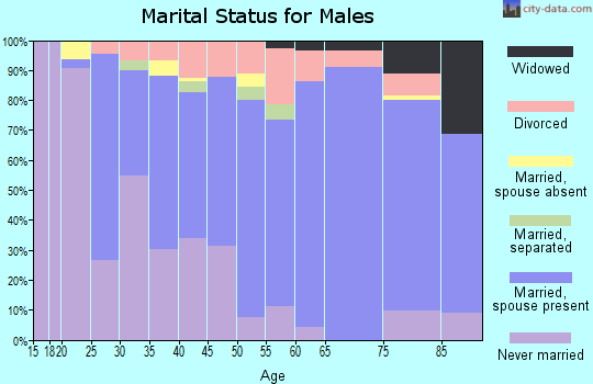 Zip code 23005 marital status for males