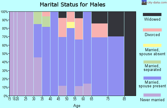 Zip code 23015 marital status for males