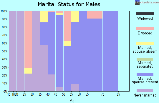 Zip code 23039 marital status for males