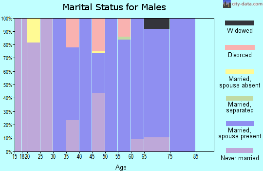 Zip code 23047 marital status for males