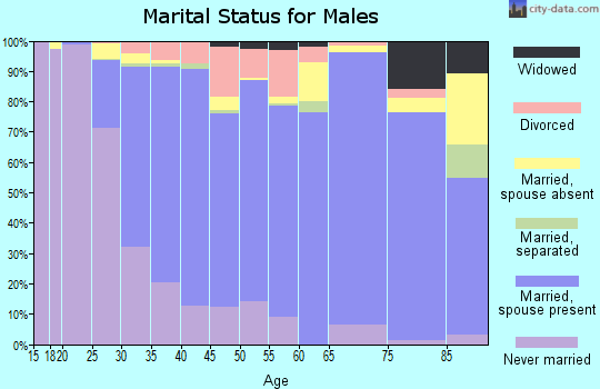 Zip code 23060 marital status