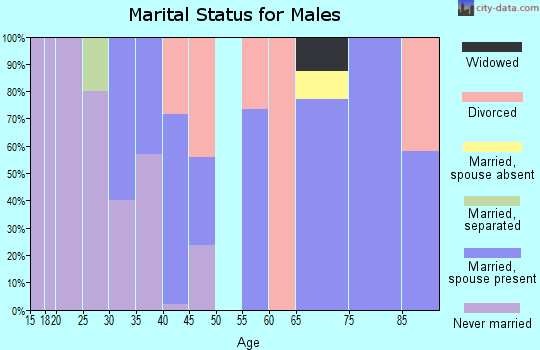 Zip code 23062 marital status for males