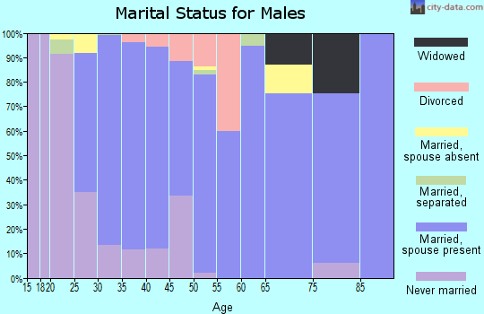 Zip code 23063 marital status for males