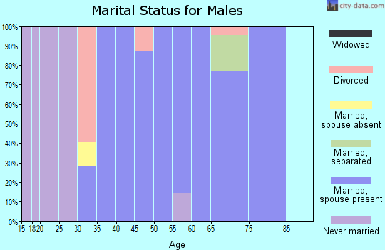 Zip code 23065 marital status for males