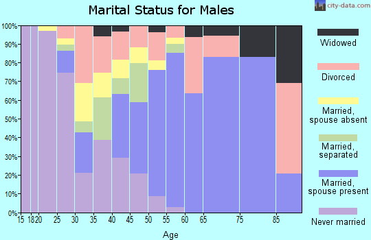 Zip code 23069 marital status for males