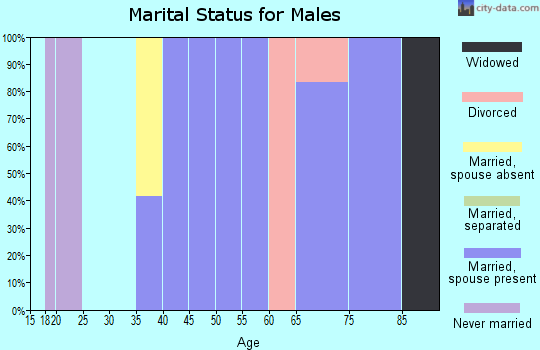 Zip code 23079 marital status for males