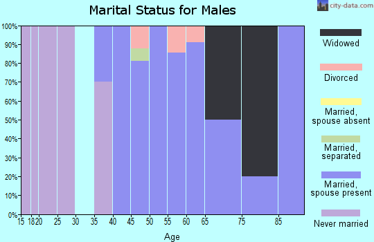 Zip code 23084 marital status for males