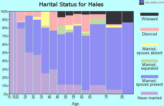 Zip code 23093 marital status for males