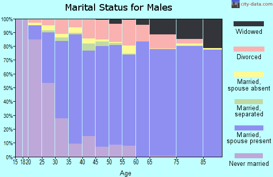 Zip code 23111 marital status for males