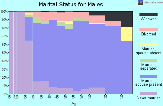 Zip code 23112 marital status